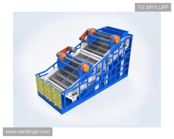 问鼎登陆助力企业突破发展瓶颈实现技术创新与市场扩展的双赢策略