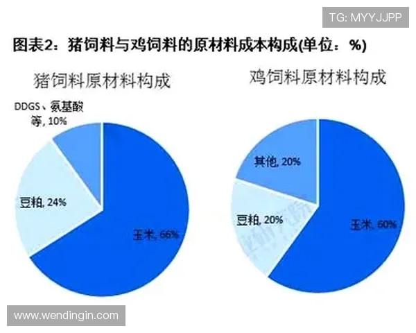 问鼎真人手机版：最新版本更新内容与未来发展趋势分析